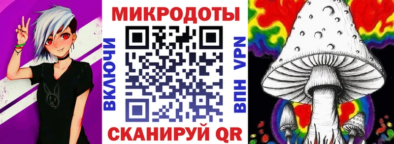 shop как зайти  где найти наркотики  Кириши  Псилоцибиновые грибы мицелий 