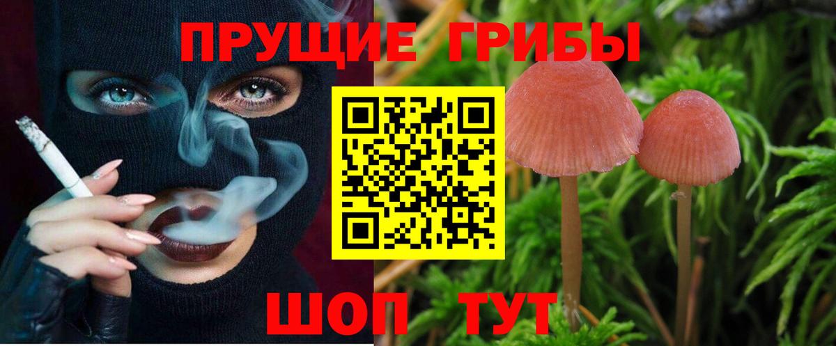 Галлюциногенные грибы MAGIC MUSHROOMS  Псилоцибиновые грибы Magic Shrooms  как найти наркотики  Кириши 